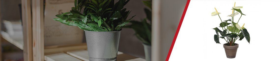 Kunstplanten Kunstplanten