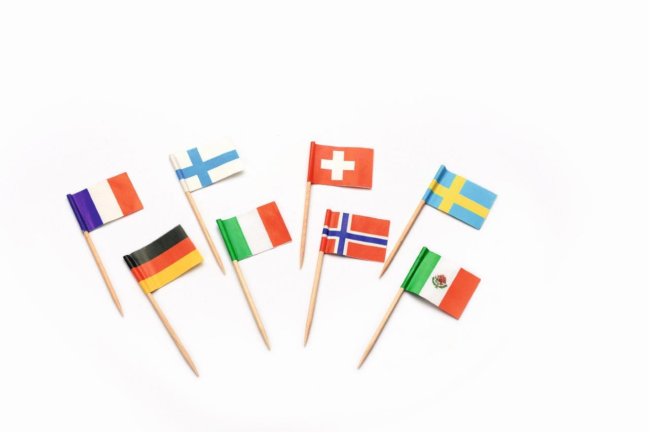 Sier Disposables Vlagprikker Internationaal 20X5 X 144 Per Krimp sier disposables kopen in de aanbieding