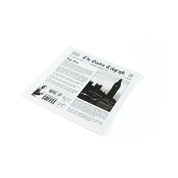 Vetdicht papieren zakje News Paper 2 open zijdes 170 x 170mm, 12x300 per doos
