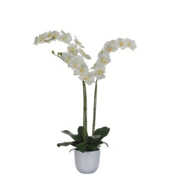 Kunstplant Phalaenopsis Orchidee 100cm, Groen/Paars