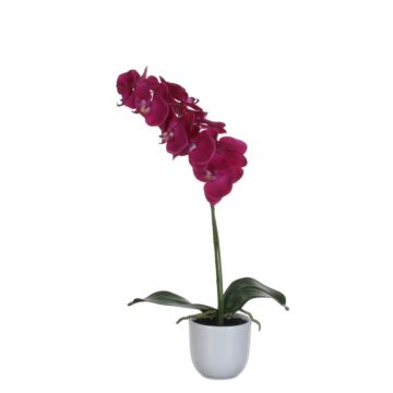 Kunstbloem Phalaenopsis Orchidee 60cm, Groen/Paars