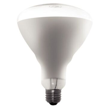 Warmhoudlamp Buffalo, 250W, geschikt voor: GD867, GC880, GC882, GC887, GC888 en L600 