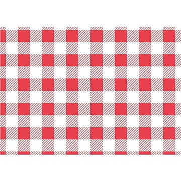 Rood Gingham vetvrij papier 19x31cm, 200 stuks