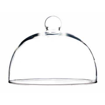 Glazen cloche 21cm, 17(h) x 21(Ø)cm