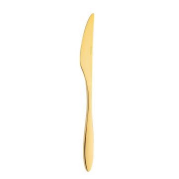 Gioia Gold 18/10 tafelmes 22,7 cm, doos van 12 stuks