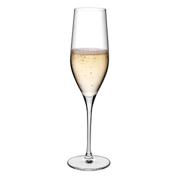 Vinifera champagne glas 255 ml, doos van 6 stuks