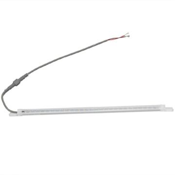 Polar Led-Licht