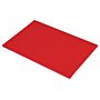 Snijplank Hygiplas, 45x30x1,25cm, rood