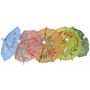 Parasols Beaumont, kleuren assorti, 17cm (box 144)