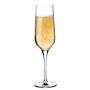 Refine champagneglas 200 ml, doos van 6 stuks