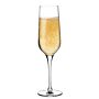 Refine champagneglas 200 ml, doos van 6 stuks