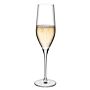 Vinifera champagne glas 255 ml, doos van 6 stuks