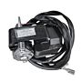 Polar Water Motor