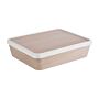 APS bento box 300x250mm