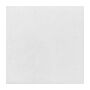 Fiesta Composteerbare Pizza Box Inlegvellen 12" (stuks 200)