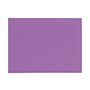 Hygiplas HDPE snijplank paars 229x305x12mm