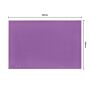 Hygiplas HDPE snijplank paars - 450x300x25mm
