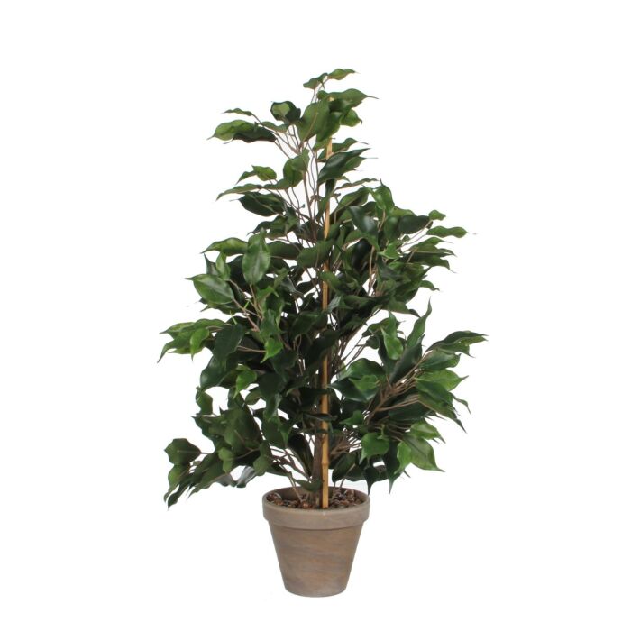 Kunstplant Ficus Exotica 65cm, Groen