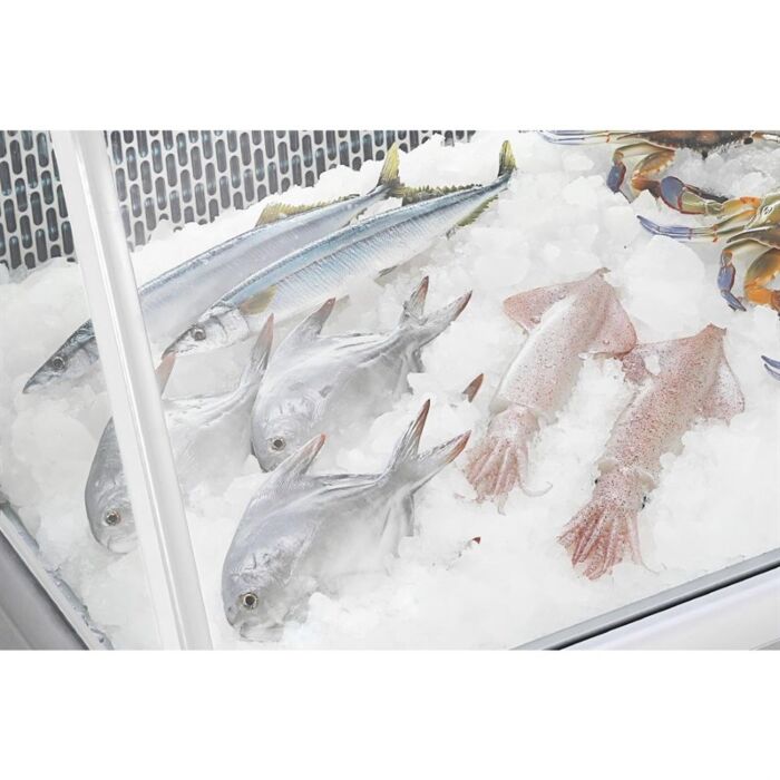 Polar G-serie vis koelvitrine 225L